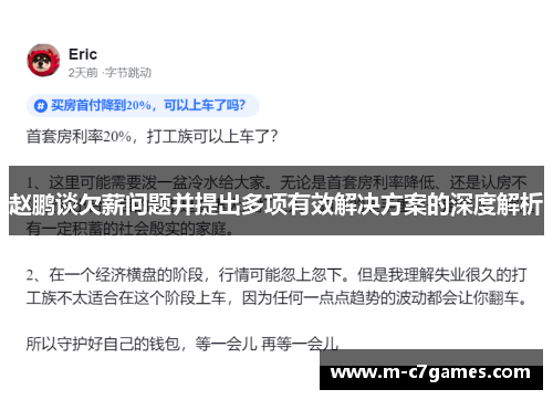赵鹏谈欠薪问题并提出多项有效解决方案的深度解析